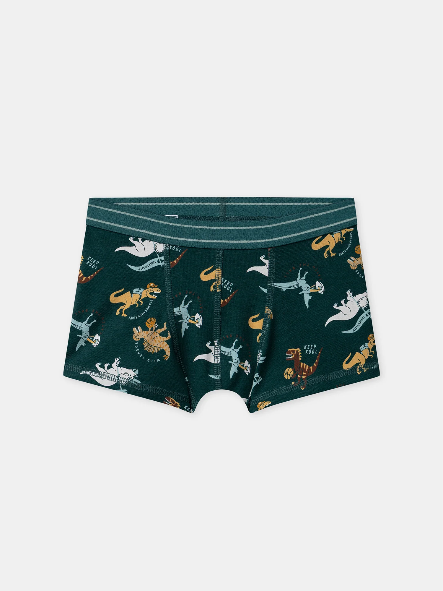 Boxer Vert - Image 14
