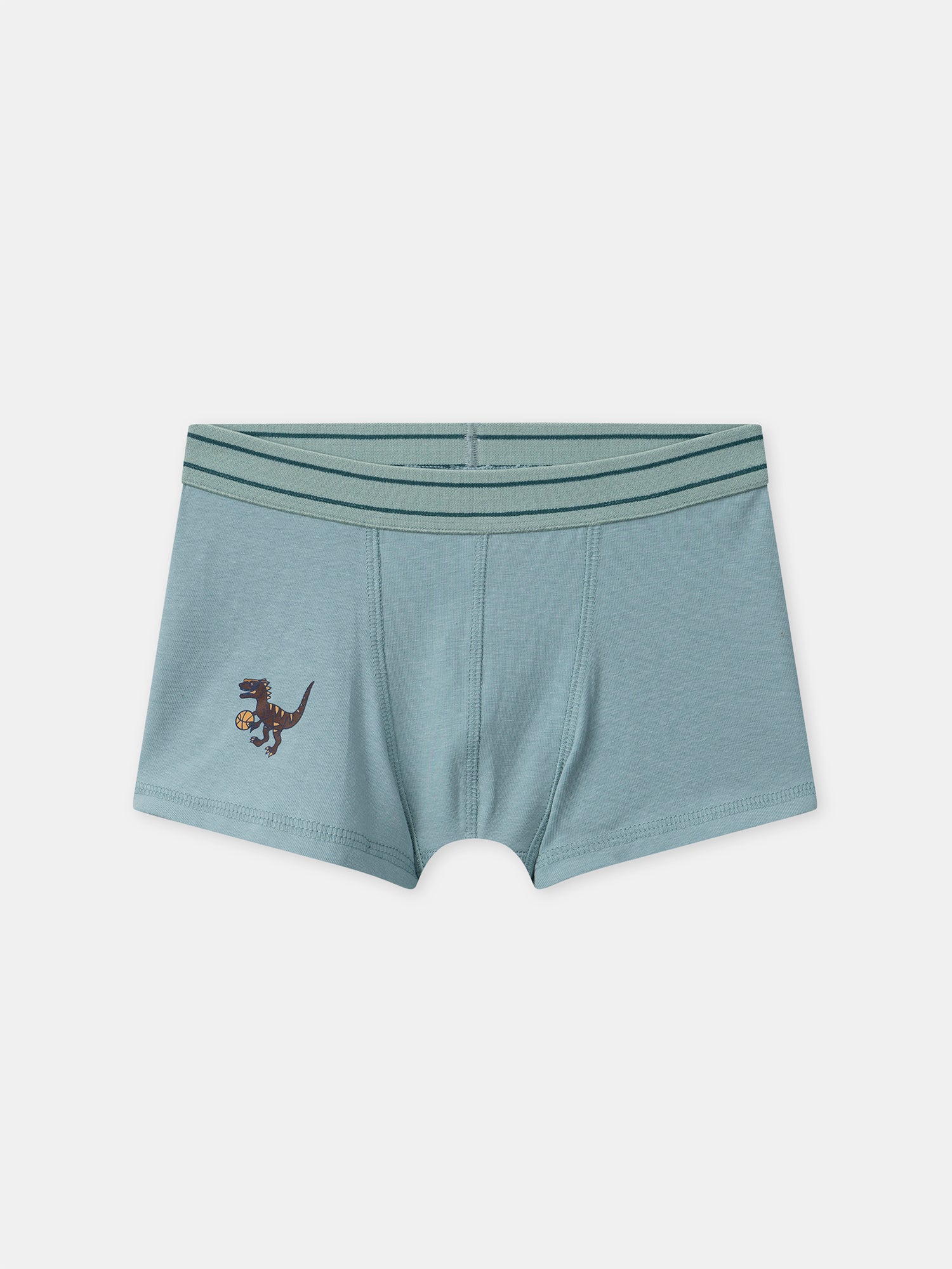 Boxer Vert - Image 5