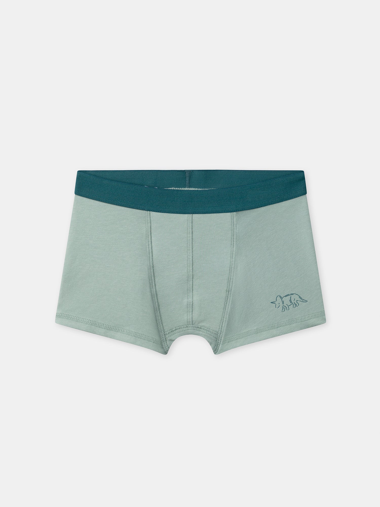 Lot de 5 boxers dinosaures Garçon - Image 11