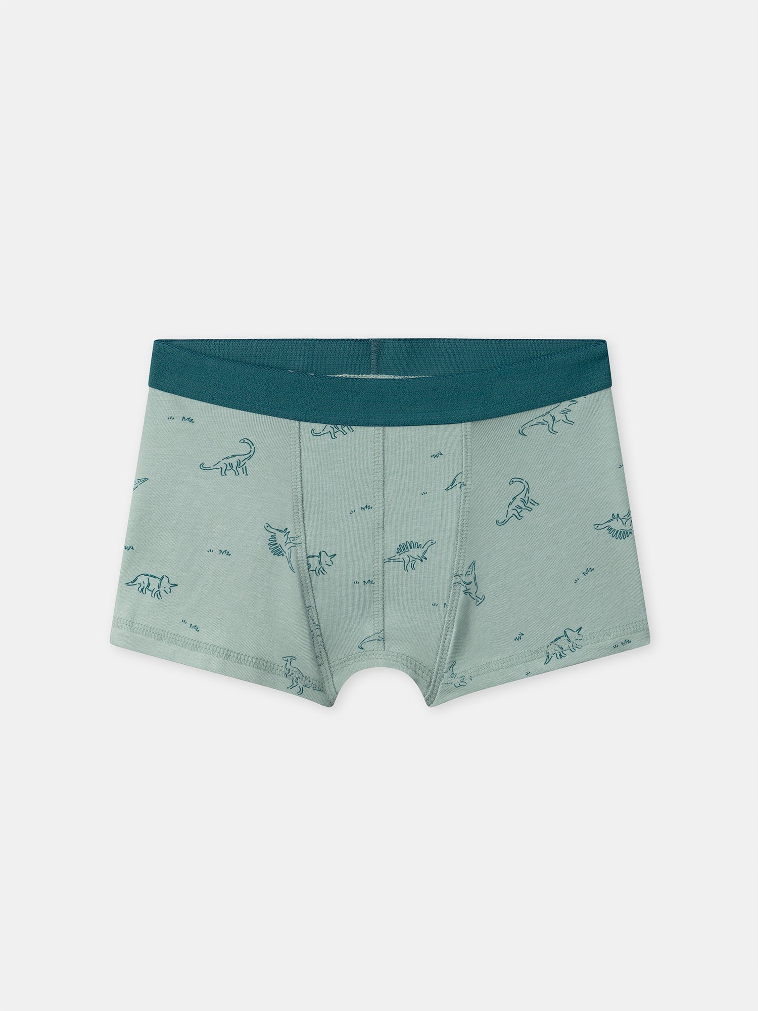 Lot de 5 boxers dinosaures Garçon - Image 5
