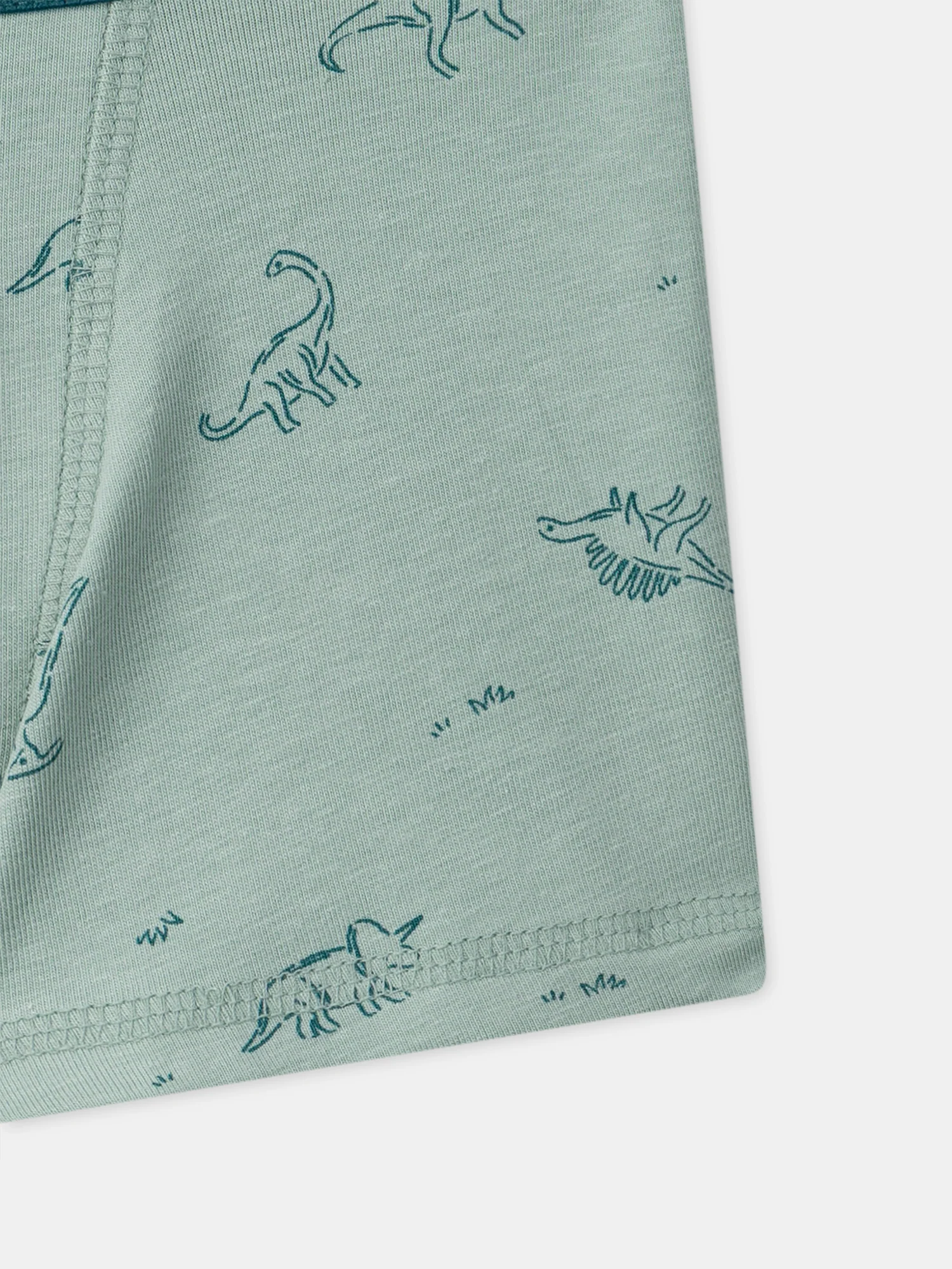 Lot de 5 boxers dinosaures Garçon - Image 6
