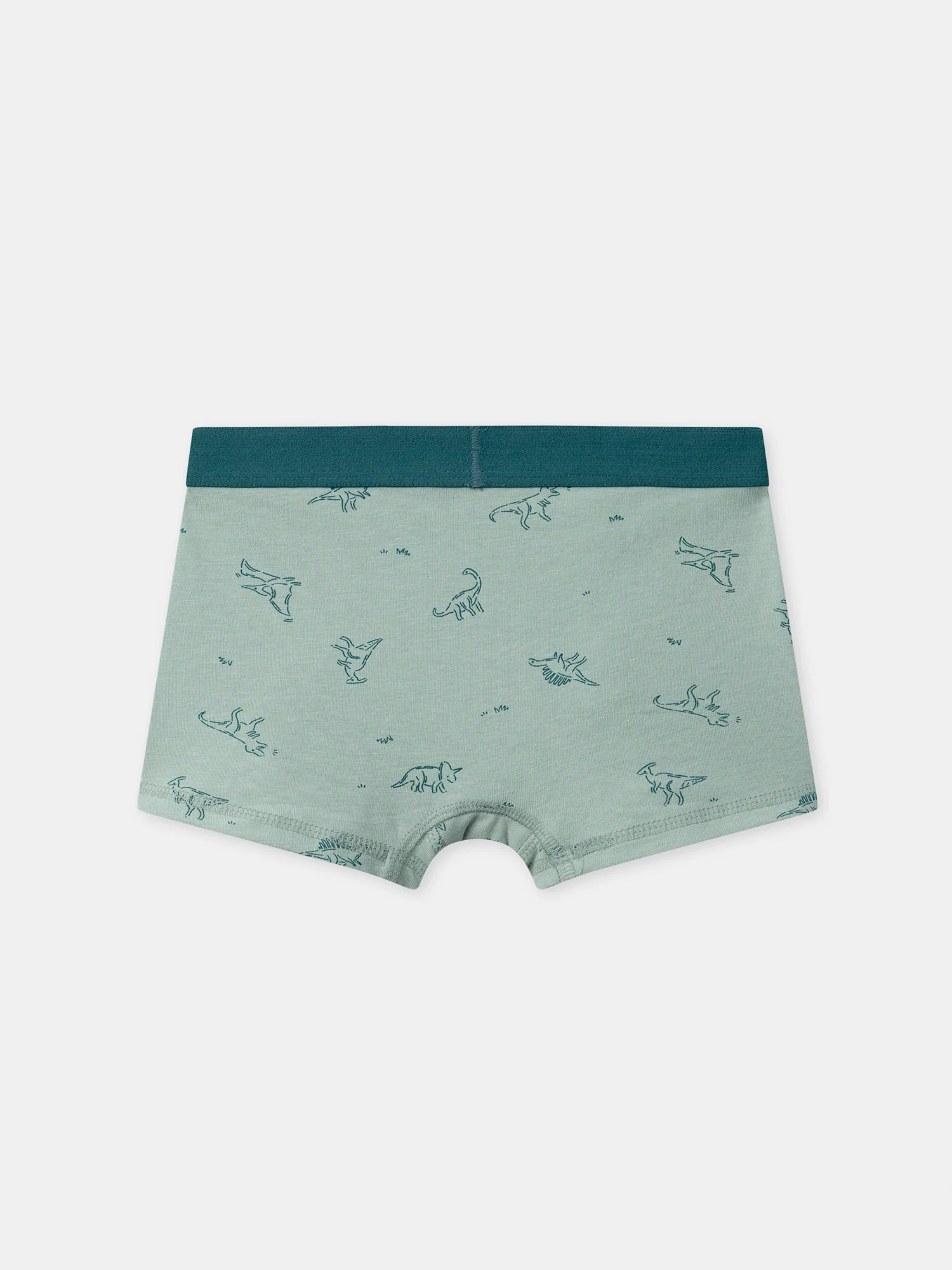 Lot de 5 boxers dinosaures Garçon - Image 7