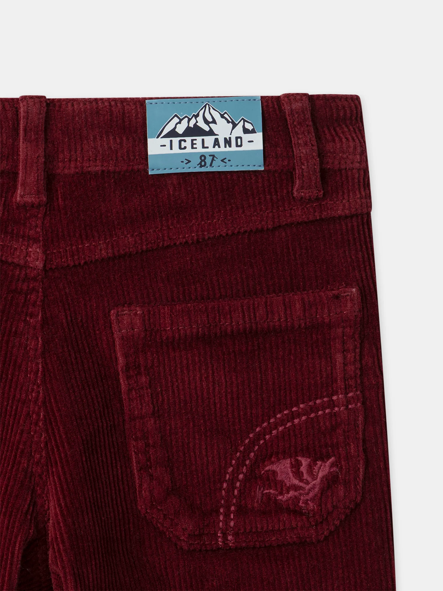 Pantalon bordeaux en velours Garçon - Image 4