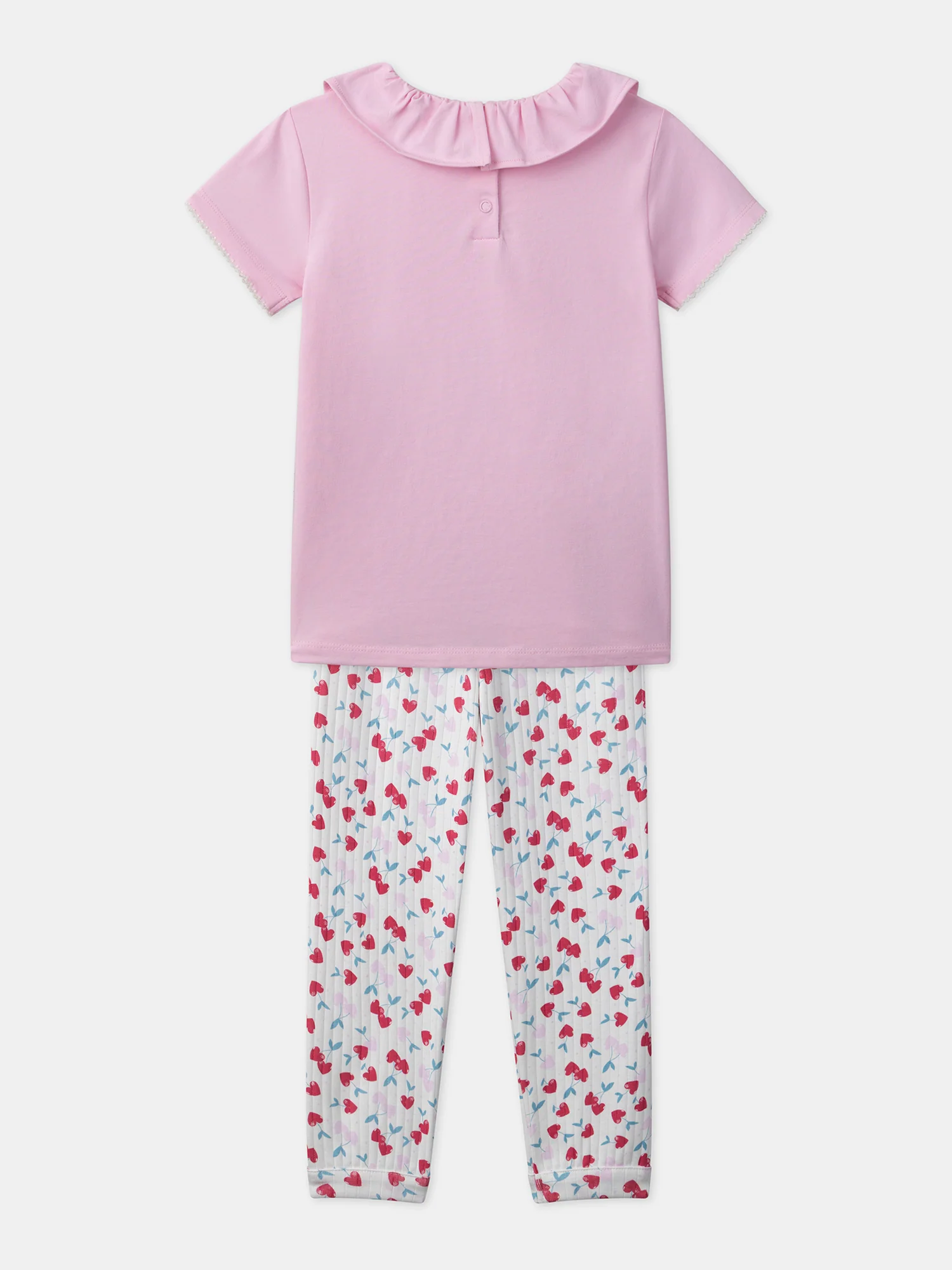 Pyjama Rose - Image 9