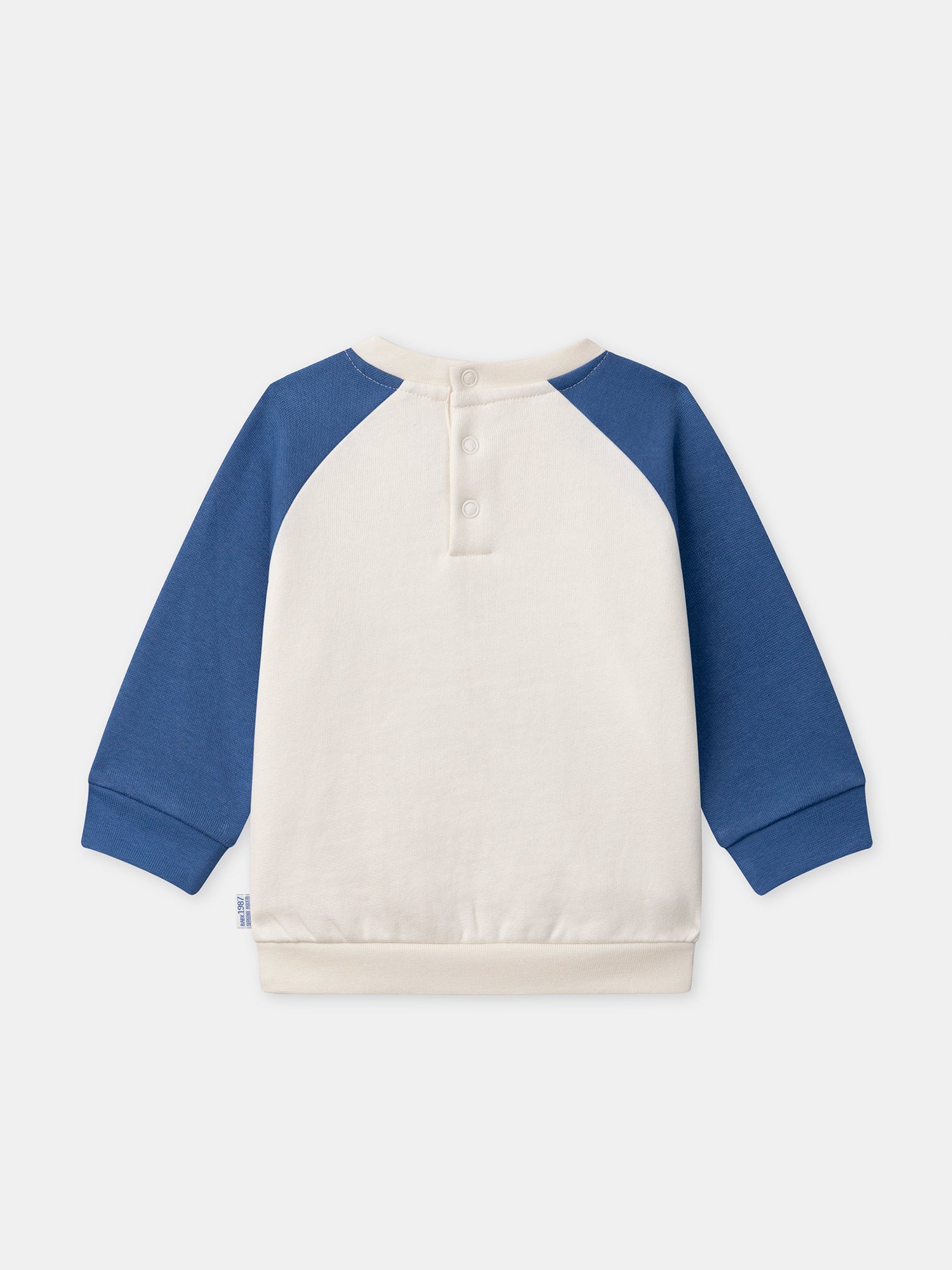 Sweat bleu et écru à broderie poussin Bébé Garçon - Image 4
