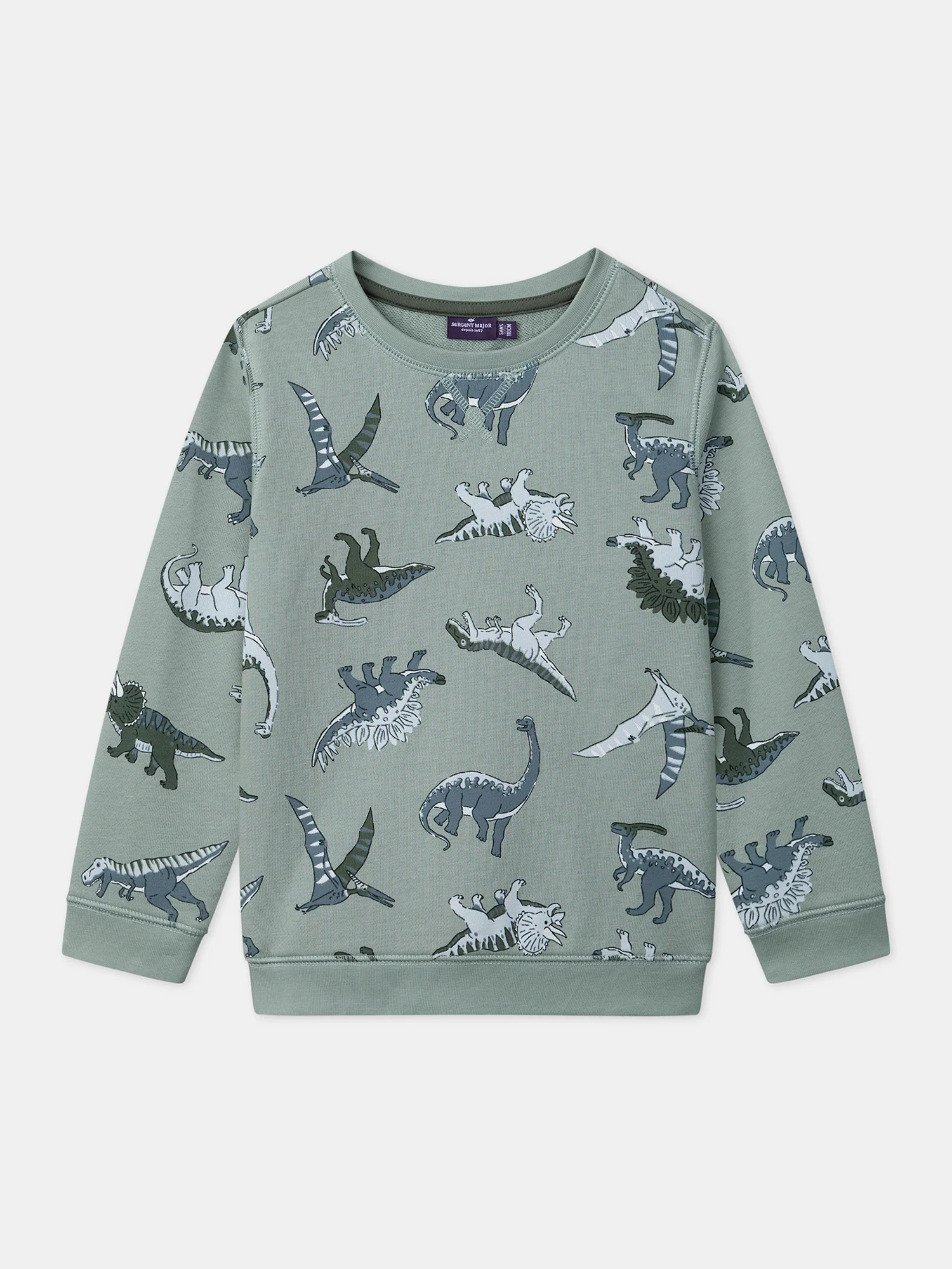 Sweat-Shirt Dinosaures