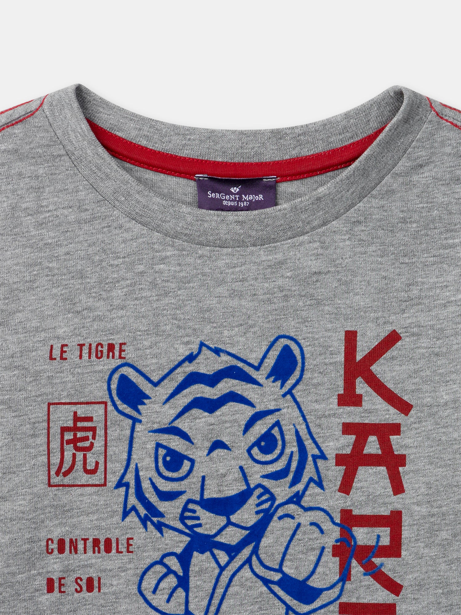 T-shirt gris imprimé tigre à manches longues Garçon - Image 4