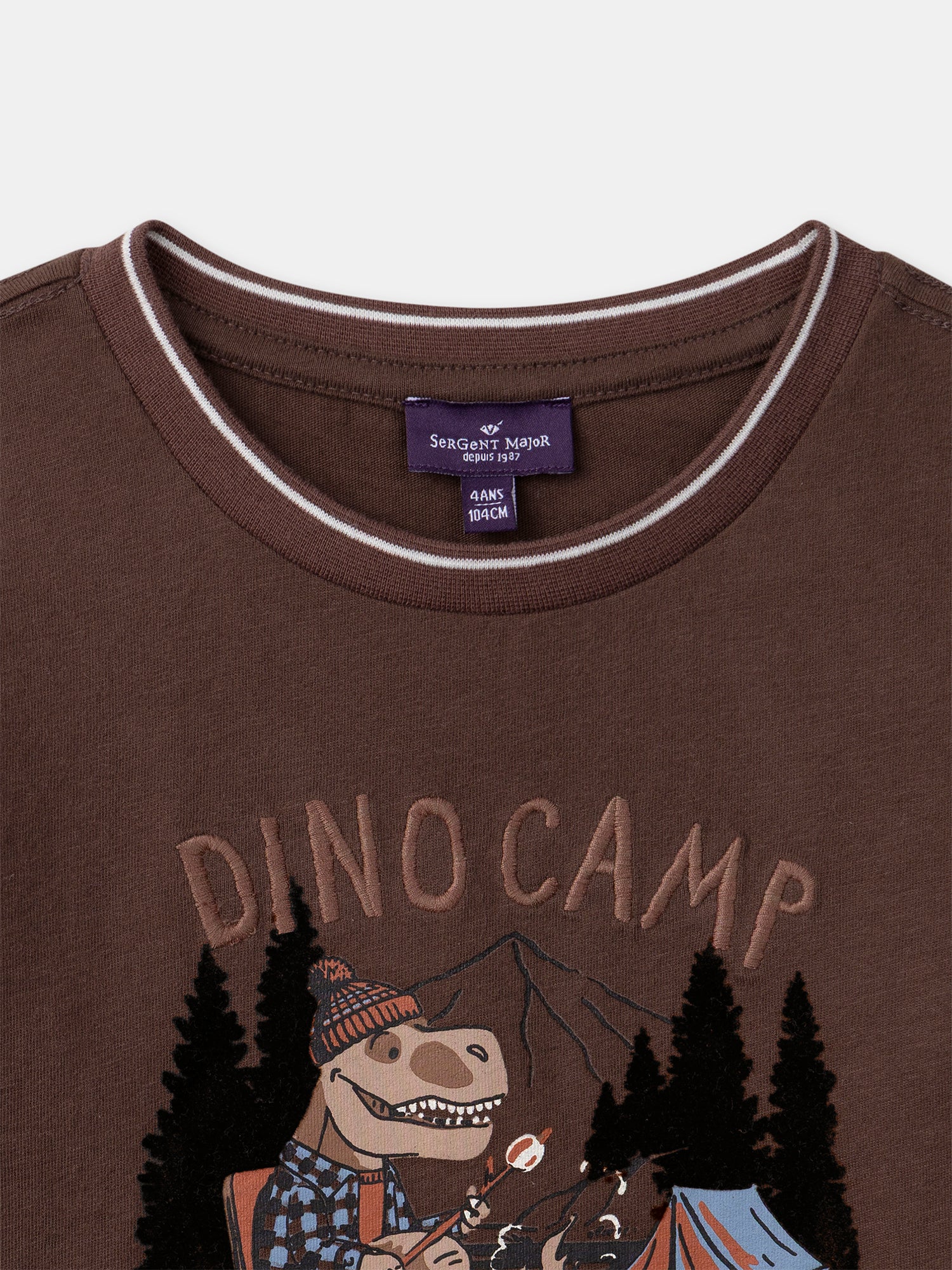 T-shirt marron imprimé dinosaure à manches longues Garçon - Image 4